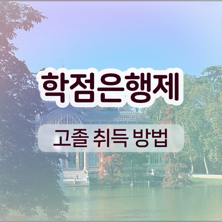  학점은행제 전문학사 동영상 과정으로 준비했던 꿀팁 모음