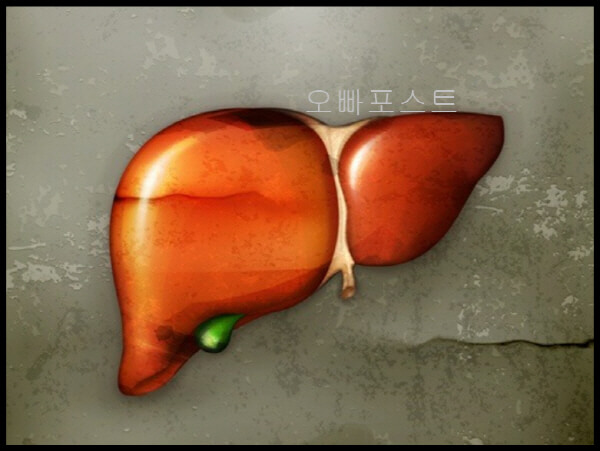  밀크씨슬 효능과 부작용 대공개! 당신이 꼭 알아야 할 진실