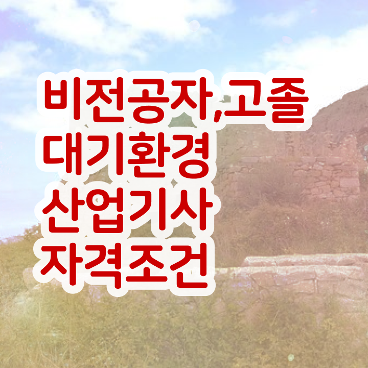  대기환경산업기사 독학 대기환경산업기사 시험자격 독학으로 간단하게 완료한 과정