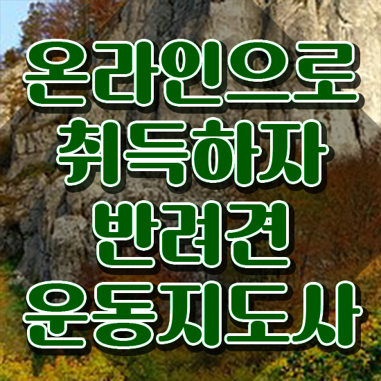  반려견운동지도사 인증 , 반려견운동지도사자격증 혼자서 독학으로 준비 과정 소개합니다