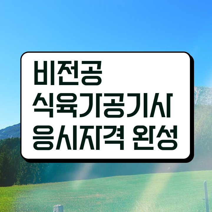 식육가공기사 시험 조건 식육가공기사 시험응시조건 집에서 온라인으로 15주 동안 끝낸 전략
