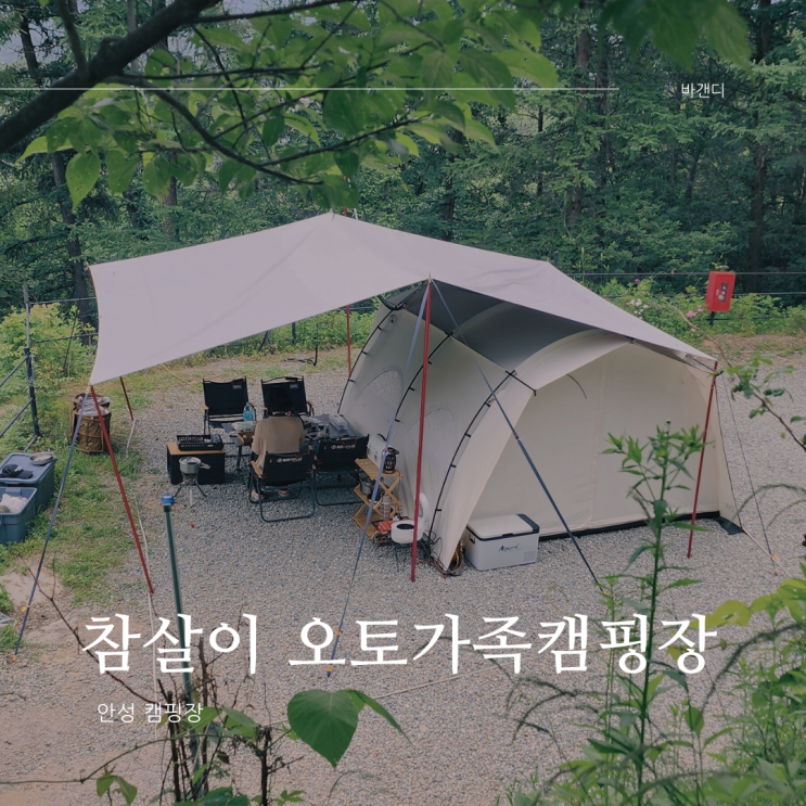  안성 캠핑장 김광석 버스킹 토끼 피딩 등 즐거움이 있는 참살이 오토가족캠핑장