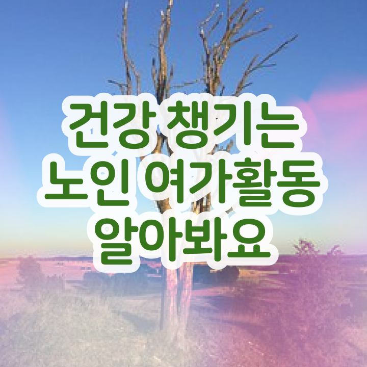  노인여가활동지도사 응시자격 , 노인여가활동지도사 구체적인 준비 과정