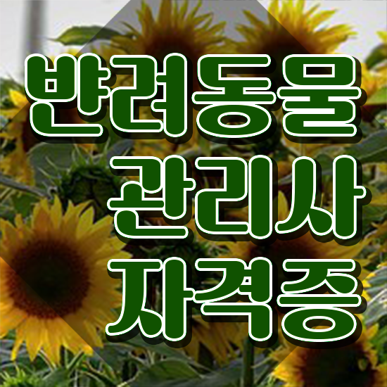  반려동물관리사 특강 , 반려동물관리사 자격증 20일 만에 취득한 정보 , 무료수강 혜택