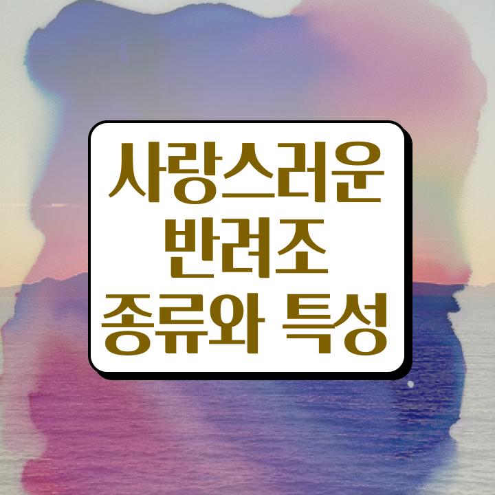  앵무새 말하는 원리 , 반려조관리사 자격증 온라인으로 쉽게 취득했던 후기 보고가세요