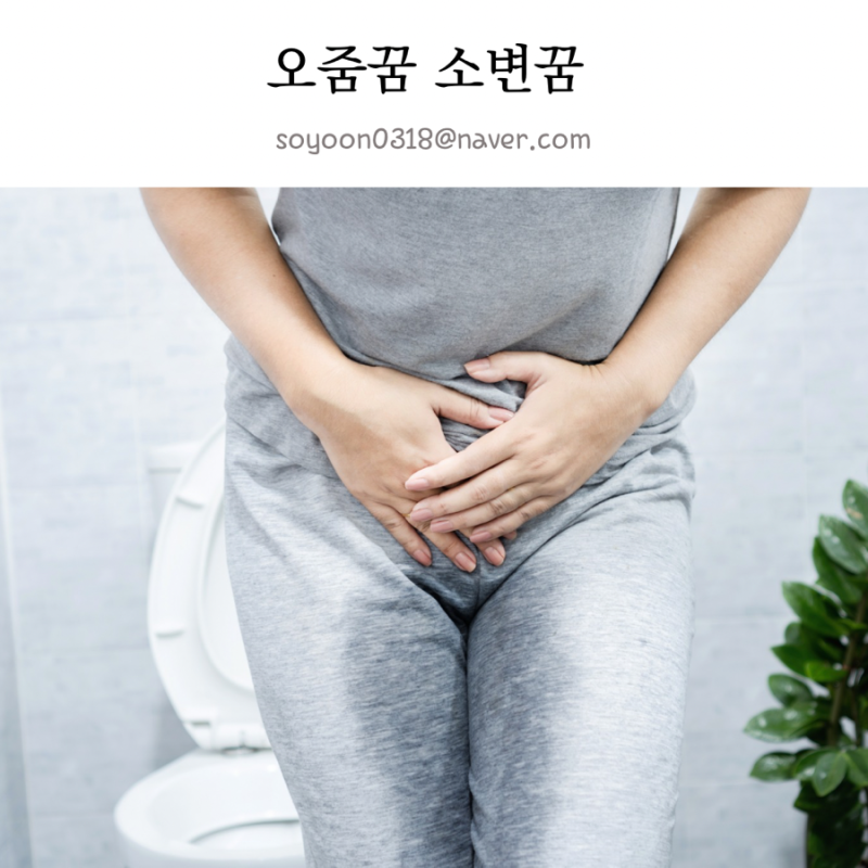 변기에 소변보는꿈 오줌싸는꿈 해몽 옷에 몸에 오줌묻는꿈 해몽