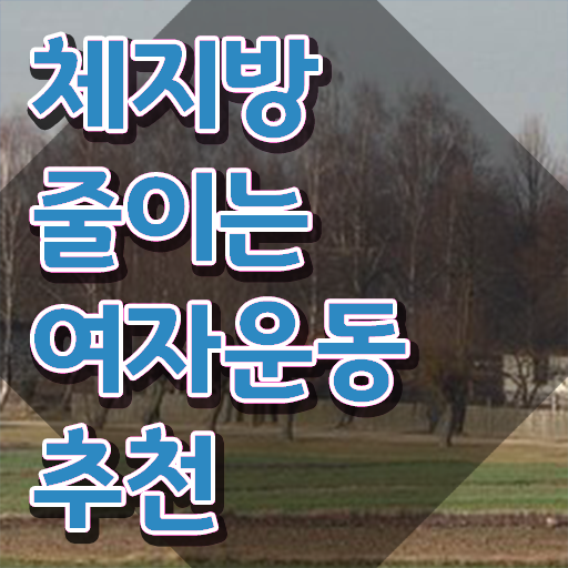  스포츠심리상담사취업 , 스포츠심리상담사 자격증 응시자격 없이 학습한 후기 요약해봤어요
