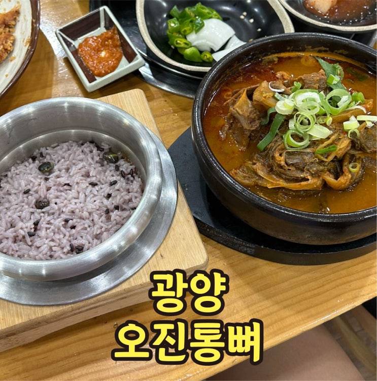  광양 해장국 오진통뼈 점심 추천 광양읍 맛집