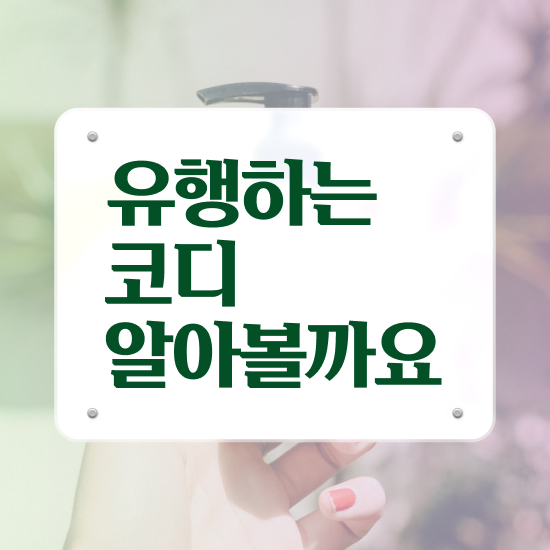  대전 퍼스널컬러 , 1달 만에 퍼스널컬러컨설턴트 공부한 방법 요약해봤어요