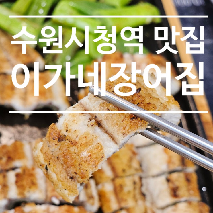  수원시청역 장어 맛집, 이가네장어집에서 인생맛집 발견