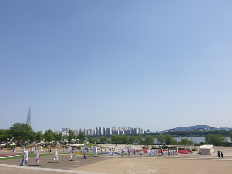  주말에 뚝섬한강공원 다녀왔어요