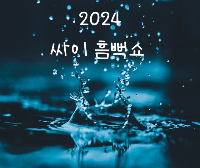  싸이 흠뻑쇼 2024 전국 일정 티켓팅