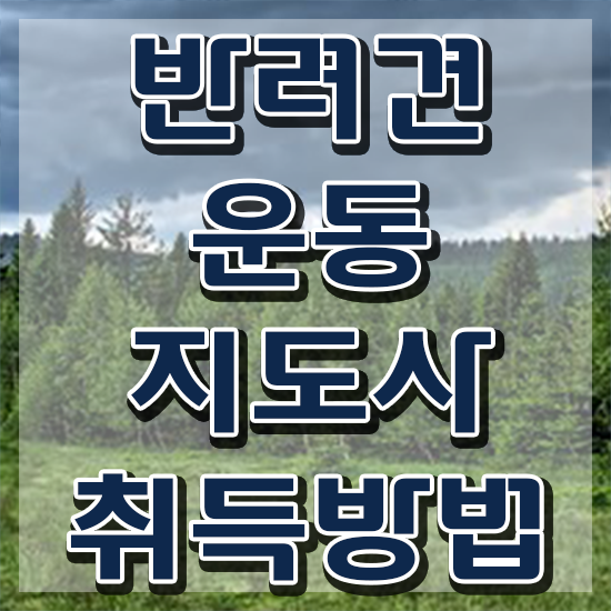  40대여성취업 , 반려견운동지도사 온라인 교육원에서 관련학과 아니어도 손쉽게 성공한 전략