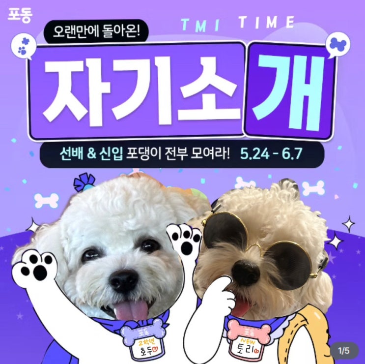  포동 서포터즈 7기 마! 니 내 누군지 아나! 자기소개 이벤트