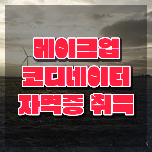  맥 메이크업 아티스트 , 메이크업코디네이터 자격증 한달 만에 준비한 과정 및 전망