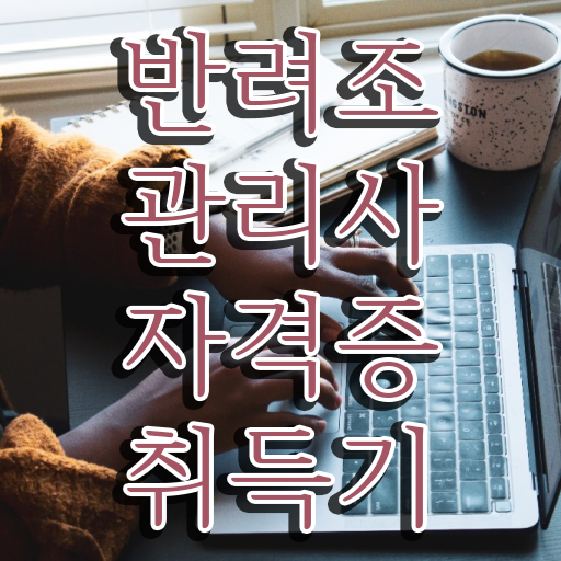  유리 앵무새 키우기 , 반려조관리사 자격증 온라인 교육으로 준비한 방법 정보 모두 드려요