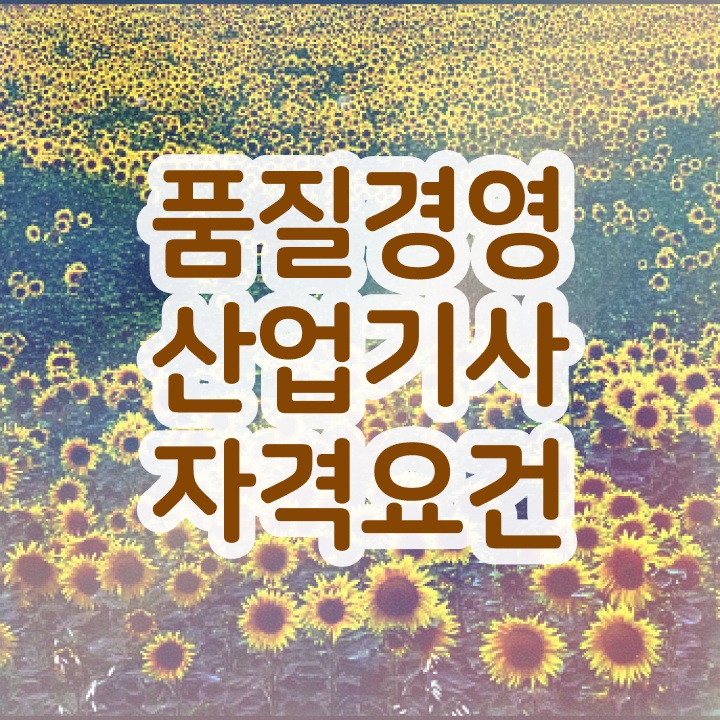  품질경영산업기사 실기 품질경영산업기사 시험응시조건 온라인으로 4개월 만에 완료한 방법