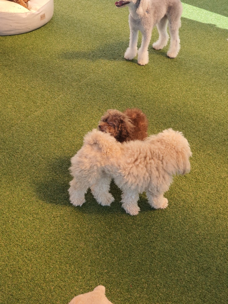 사진 7