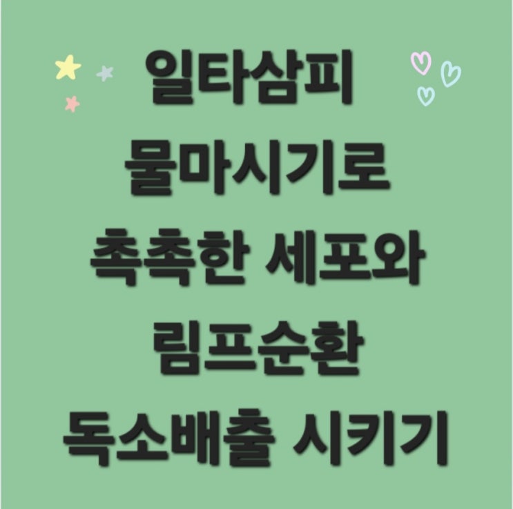  일타삼피 물 마시기로 촉촉한 세포와 림프순환과 독소 배출시키기