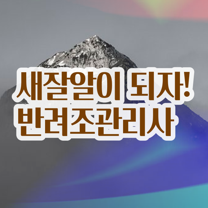  인천 앵무새 분양 , 반려조관리사 자격증 합격한 후기 알아볼게요