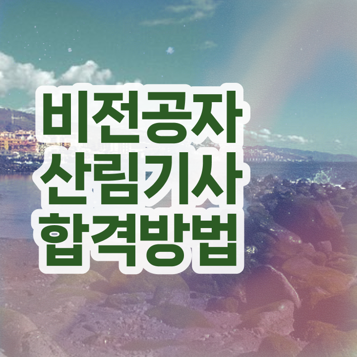  산림기사 2024 산림기사 응시조건 독학으로 간편하게 성공한 후기