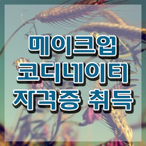  메이크업 자격증 후기 , 메이크업코디네이터 자격증 응시자격 없이 취득했던 후기 공유드려요