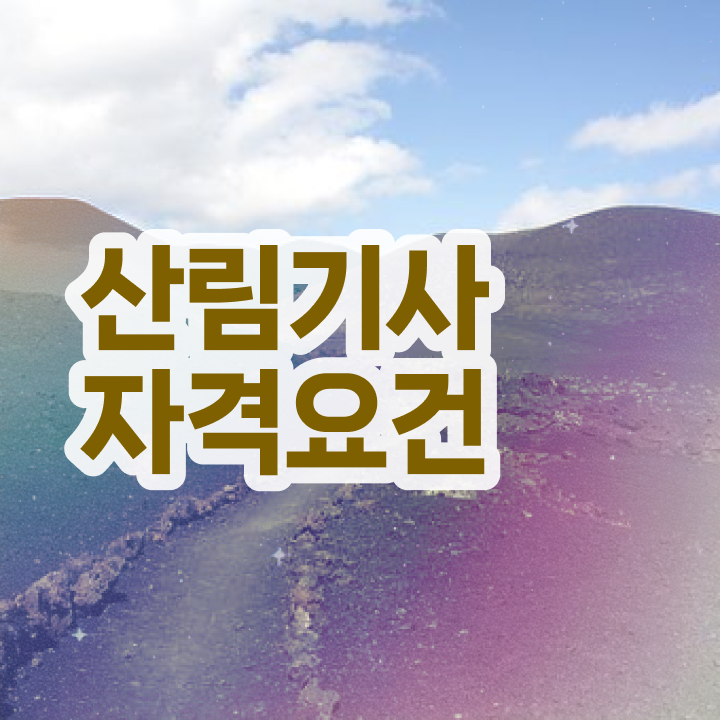  산림기사 작업형 산림기사 시험응시자격 인강으로 간편하게 준비한 팁