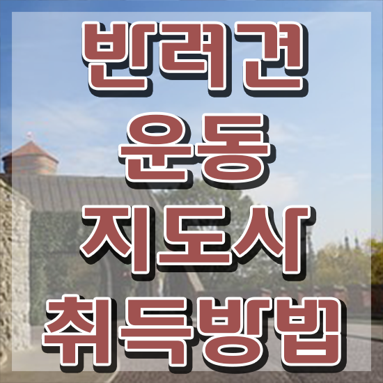  동물과 관련된 직업 , 반려견운동지도사 일하면서 끝내는 과정
