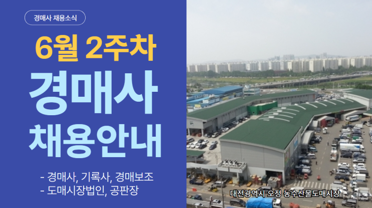 [경매사 채용안내] 2024년 6월 2주차 "경매사 채용정보"를 살펴보겠습니다!