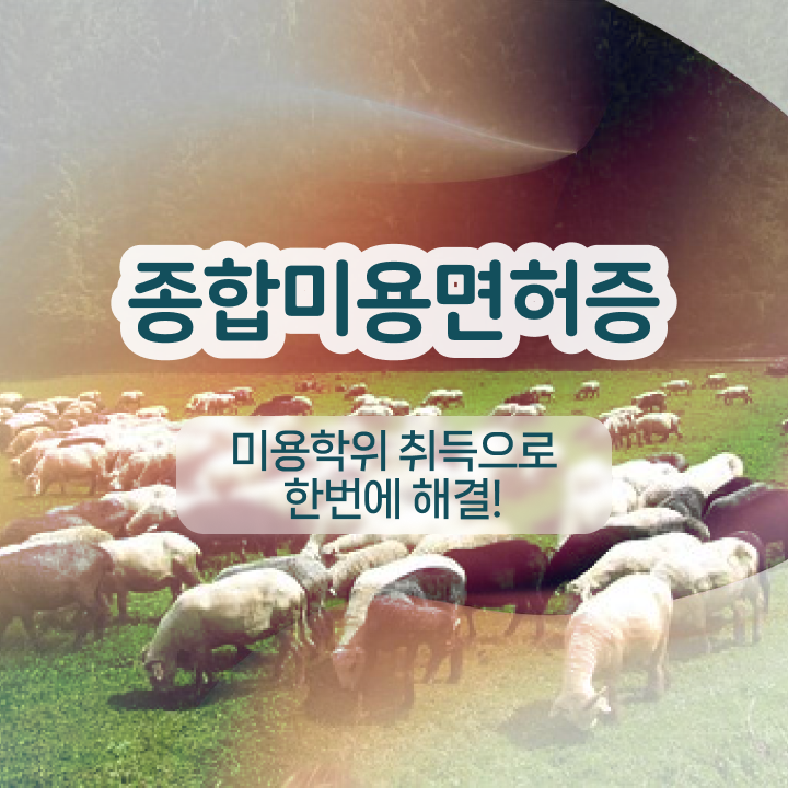  눈썹반영구학원 , 반영구 준비 하나도 모른다면 챙겨야 하는 자격사항 과 전략