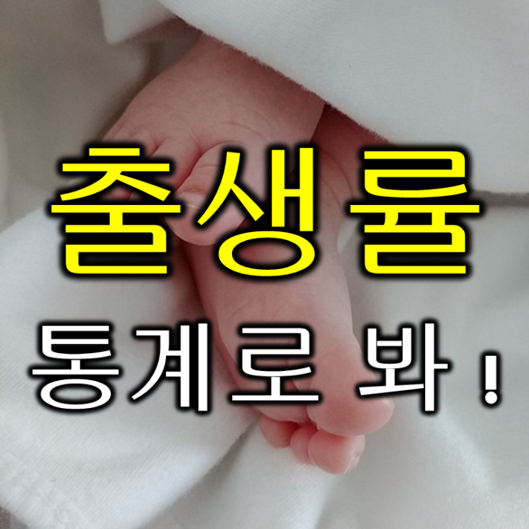  세계 각국의 출생률 통계 자료 (feat. fertility rate, birth rate)