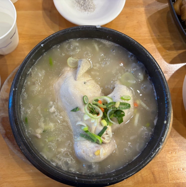  [대전 선화동] 대전 삼계탕 맛집 복날 대비 백종원 3대천왕 맛집 추천 금성삼계탕