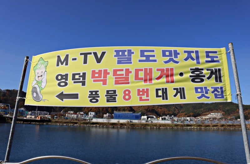 영덕대게맛집 영덕에서 자랑하는 맛집 강구박달대게 풍물거리8호