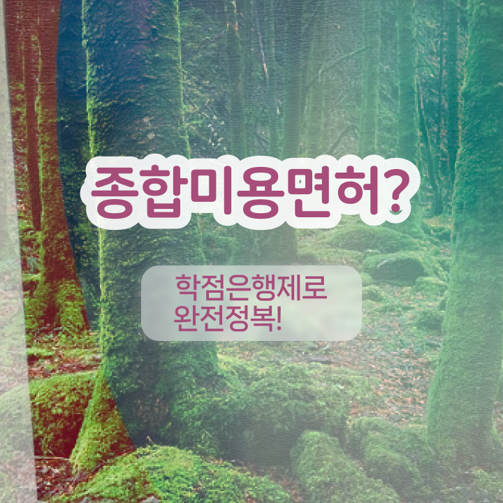  눈썹 반영구화장 , 눈썹문신 창업 공부해야 하는 자격증 과 방법