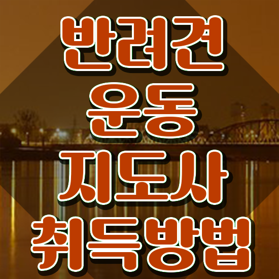  40대 취업 , 반려견운동지도사 취득한 노하우 및 역할과 하는일