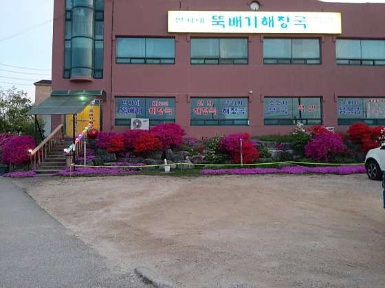 민가네뚝배기해장국 사진 1