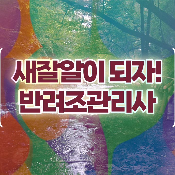  퀘이커 앵무새 가격 , 반려조관리사 자격증 합격한 후기 살펴보기