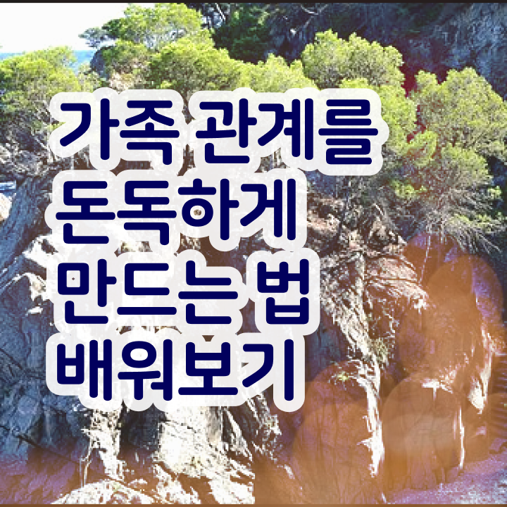  대전 가족상담 , 가족심리상담사 자격증 준비한 과정 핵심 공개 준비했어요