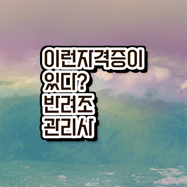  퀘이커 앵무새 키우기 , 반려조관리사 자격증 온라인으로 쉽게 학습한 후기 최단기간 취득한 과정