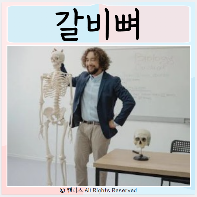  갈비뼈 금 갔을 때 원인 골절 치료 증상