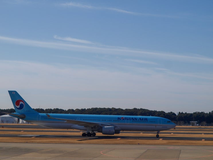  대한항공 에어버스 A330-300 [HL8003]