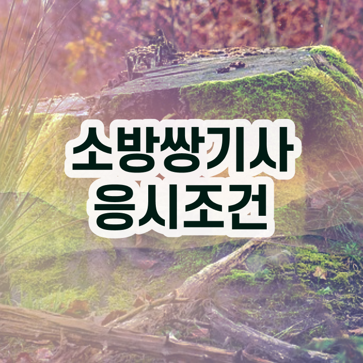  소방설비기사 학점은행제 소방설비기사 응시자격 온라인 수업으로 4달 안에 성공한 비법