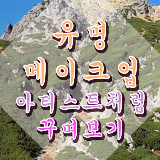  메이크업아티스트 , 메이크업코디네이터 자격증 1달 만에 합격한 전략 요약