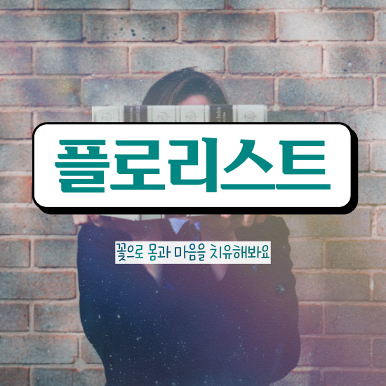  분당꽃꽂이원데이클래스 , 플로리스트 자격증 한달 만에 합격정보 필수 정보