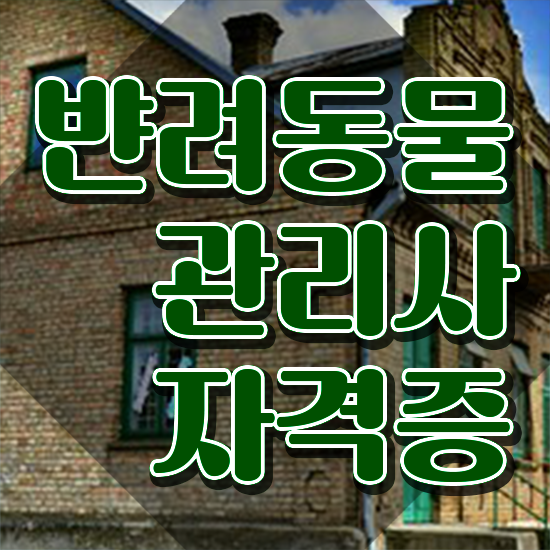  고양이 반려동물 등록 , 반려동물관리사 자격증 20일 만에 준비한 과정 준비했어요