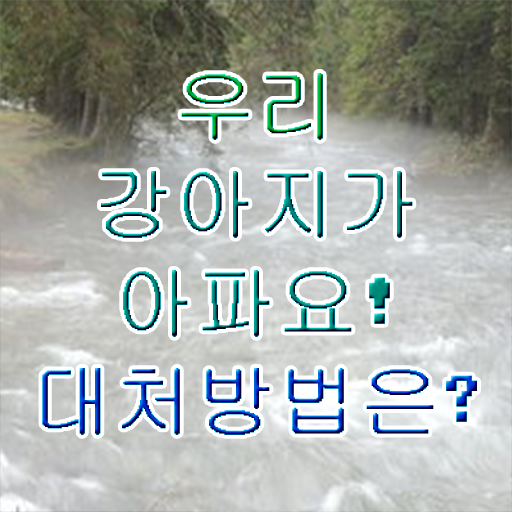  50대여성취업 , 반려동물관리사 자격증 쉽고 간편하게 취득했던 후기 총 정리