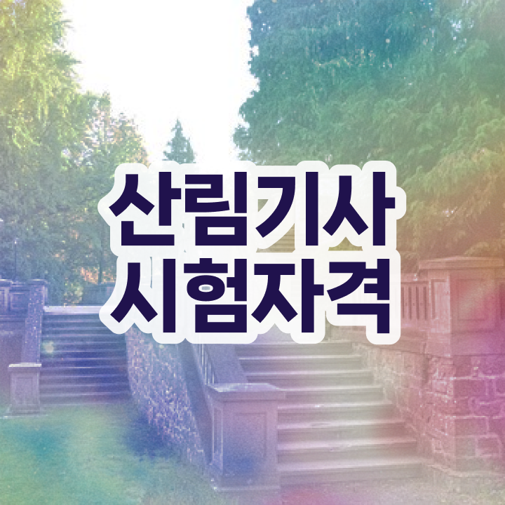  산림기사 필답 산림기사 취득자격 인강만 듣고 15주 동안 성공한 방법
