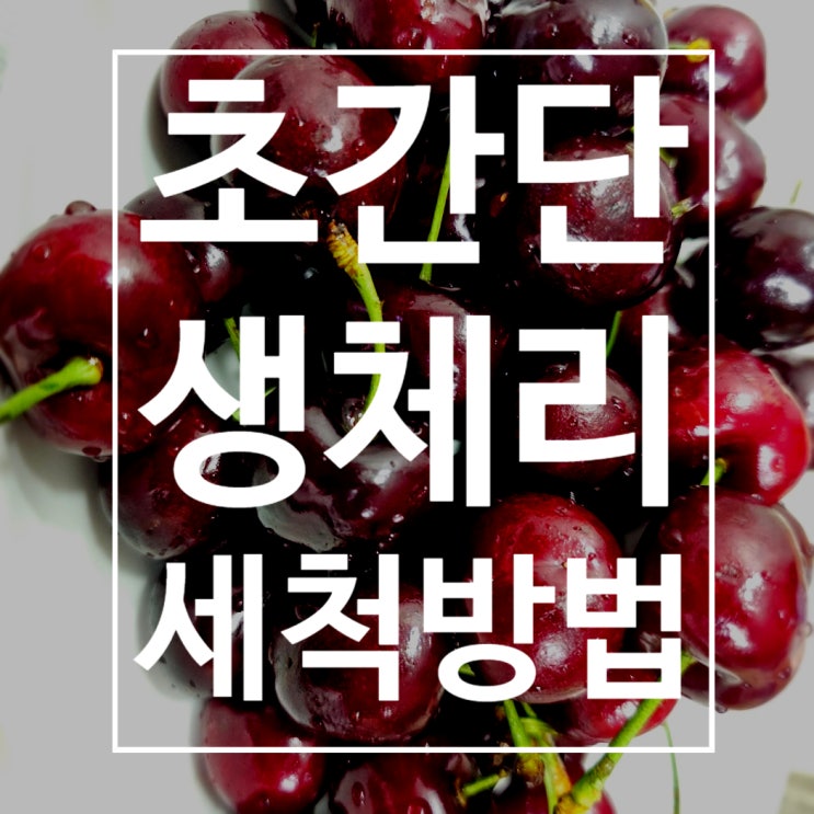  항공생체리 세척해야 하는 이유 & 초간단 세척법