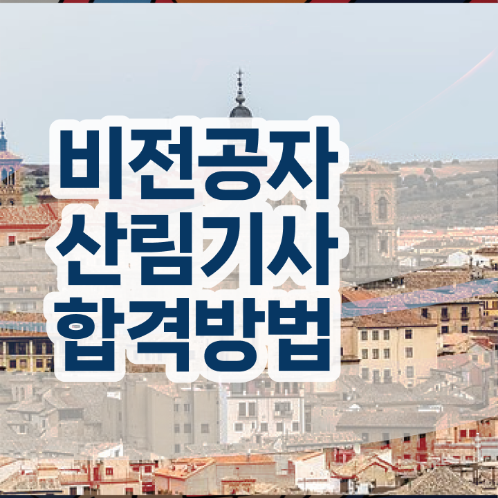  산림기사 관련학과 산림기사 응시조건 온라인으로 간편하게 끝낸 후기