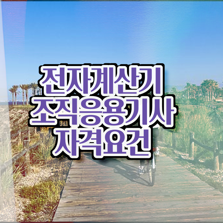  전자계산기조직응용기사 2024 필기 전자계산기조직응용기사 자격요건 학점은행제로 4달만에 끝낸 전략